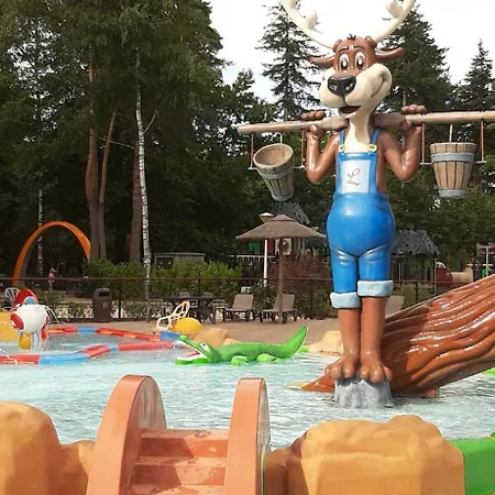 Tatil parkı & Glamping Ons Plekje In Het Bos Beekbergen
