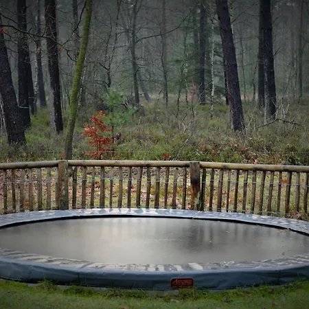 Tatil parkı & Glamping Ons Plekje In Het Bos