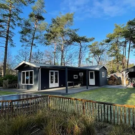 & Glamping Ons Plekje In Het Bos