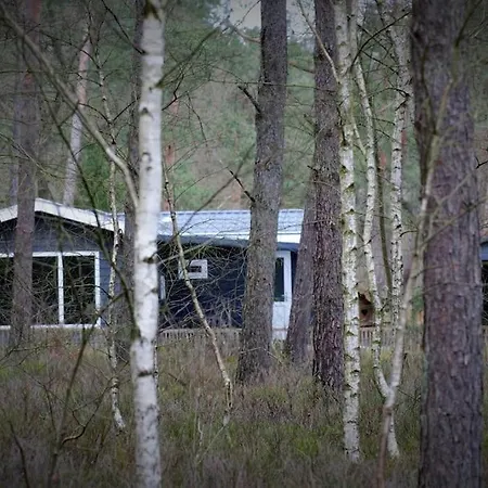 & Glamping Ons Plekje In Het Bos Tatil parkı *