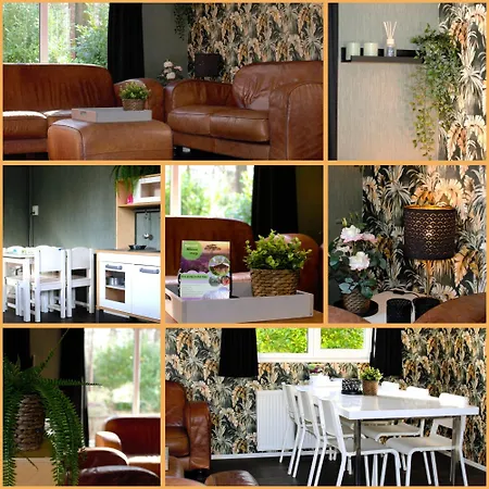 & Glamping Ons Plekje In Het Bos