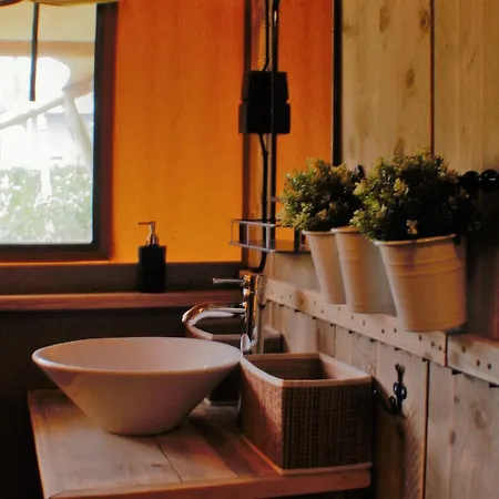 & Glamping Ons Plekje In Het Bos Beekbergen