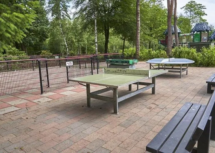 & Glamping Ons Plekje In Het Bos * Beekbergen