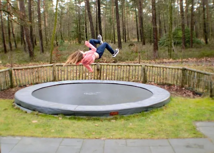 Parque de vacaciones & Glamping Ons Plekje In Het Bos *