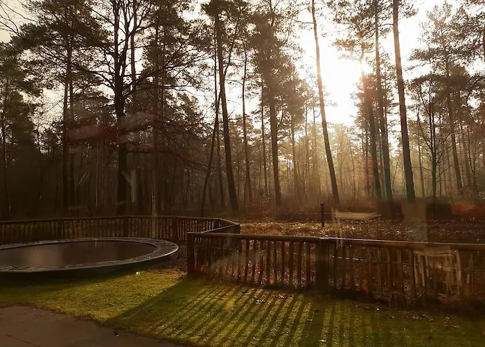 & Glamping Ons Plekje In Het Bos Parque de vacaciones Beekbergen