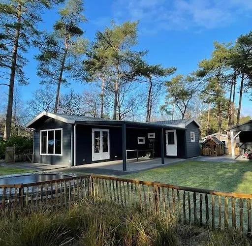 & Glamping Ons Plekje In Het Bos