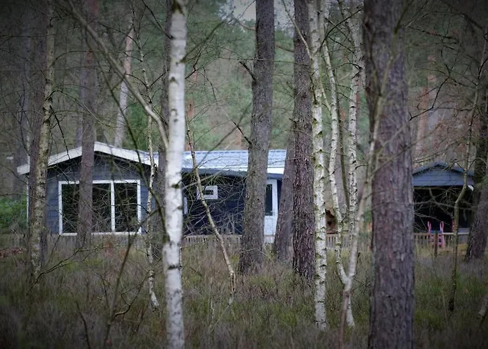 & Glamping Ons Plekje In Het Bos Parque de vacaciones *