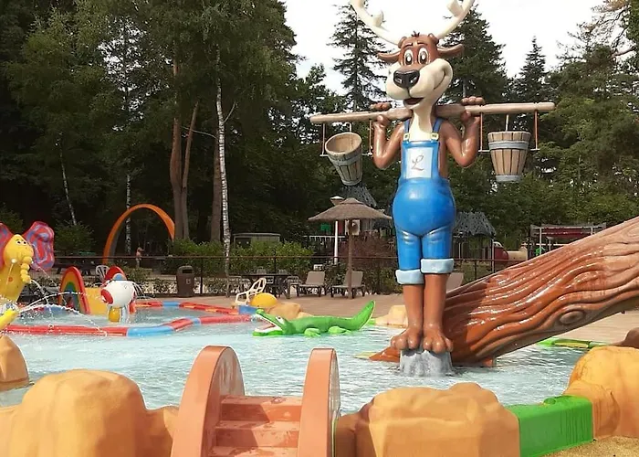 & Glamping Ons Plekje In Het Bos Parque de vacaciones Beekbergen