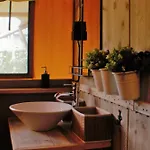 & Glamping Ons Plekje In Het Bos Beekbergen