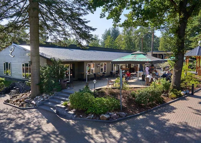 & Glamping Ons Plekje In Het Bos Beekbergen