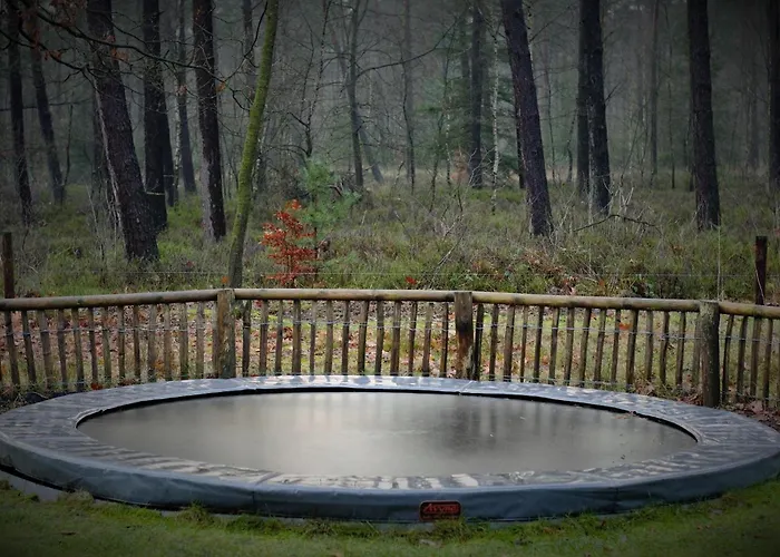 Kompleks wypoczynkowy & Glamping Ons Plekje In Het Bos