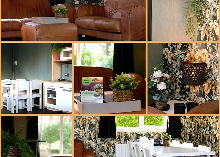 & Glamping Ons Plekje In Het Bos