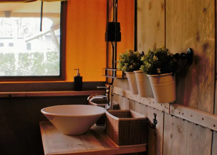 & Glamping Ons Plekje In Het Bos Beekbergen