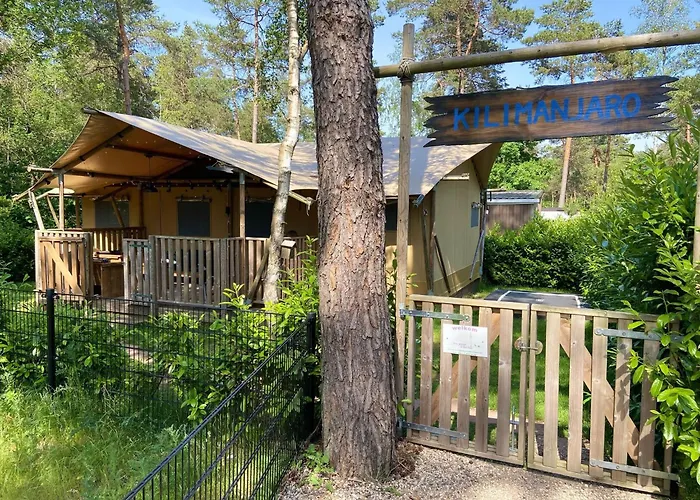 Kompleks wypoczynkowy & Glamping Ons Plekje In Het Bos *